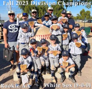 division champs sox'